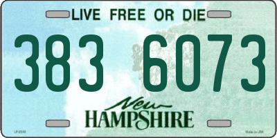 NH license plate 3836073