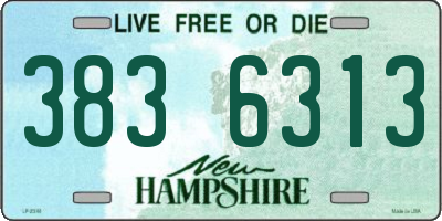 NH license plate 3836313
