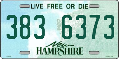 NH license plate 3836373