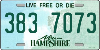 NH license plate 3837073