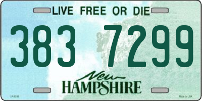 NH license plate 3837299