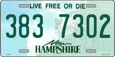 NH license plate 3837302