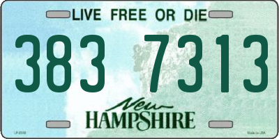 NH license plate 3837313