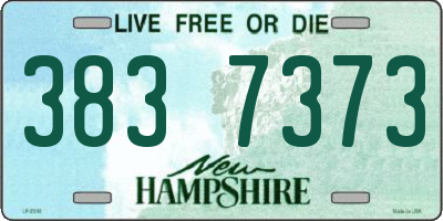NH license plate 3837373