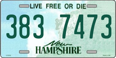NH license plate 3837473