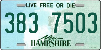 NH license plate 3837503