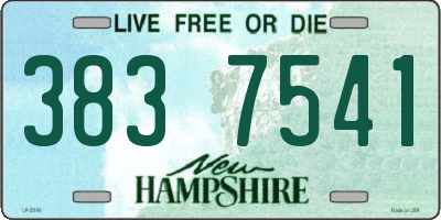 NH license plate 3837541
