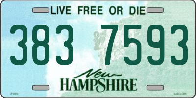 NH license plate 3837593