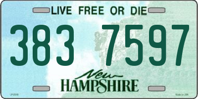 NH license plate 3837597