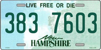 NH license plate 3837603