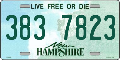 NH license plate 3837823