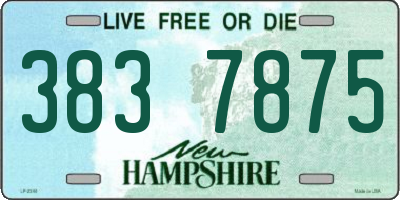 NH license plate 3837875