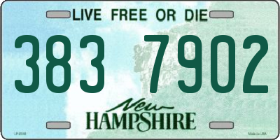 NH license plate 3837902