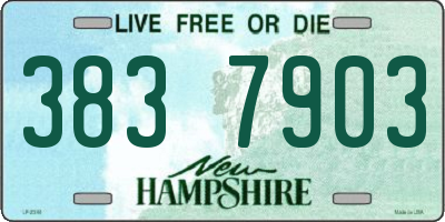 NH license plate 3837903