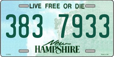 NH license plate 3837933