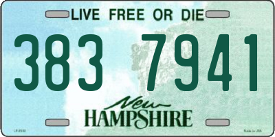 NH license plate 3837941
