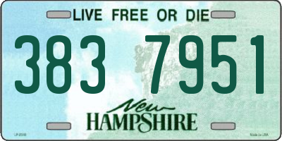 NH license plate 3837951