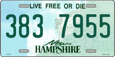 NH license plate 3837955