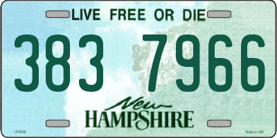 NH license plate 3837966