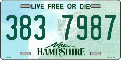NH license plate 3837987