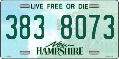 NH license plate 3838073