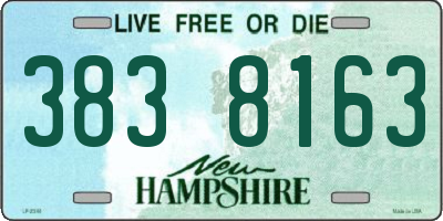 NH license plate 3838163