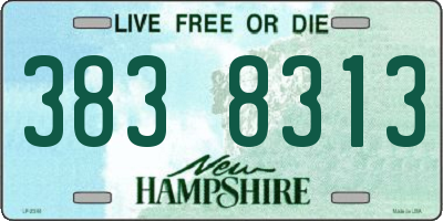 NH license plate 3838313