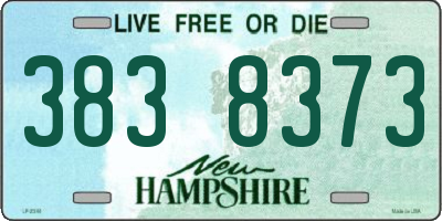 NH license plate 3838373
