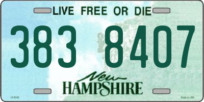 NH license plate 3838407