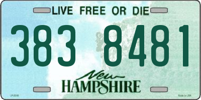 NH license plate 3838481