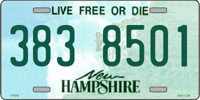 NH license plate 3838501