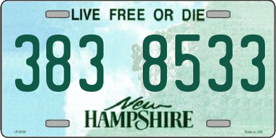 NH license plate 3838533