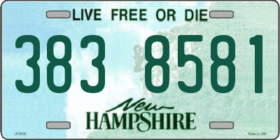 NH license plate 3838581