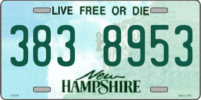 NH license plate 3838953