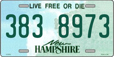 NH license plate 3838973