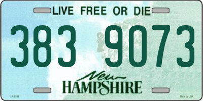 NH license plate 3839073