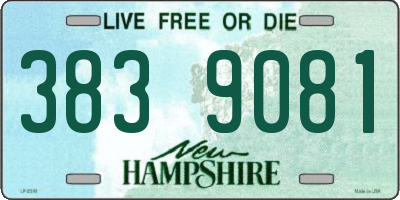 NH license plate 3839081