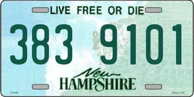 NH license plate 3839101