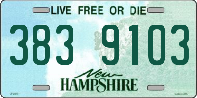 NH license plate 3839103