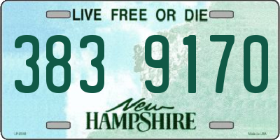 NH license plate 3839170