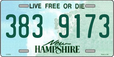 NH license plate 3839173