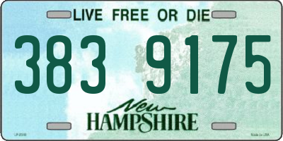 NH license plate 3839175