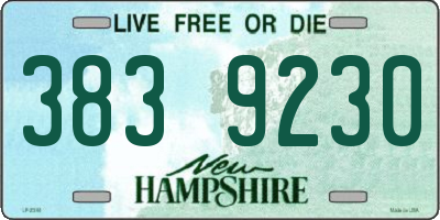 NH license plate 3839230