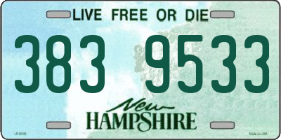 NH license plate 3839533