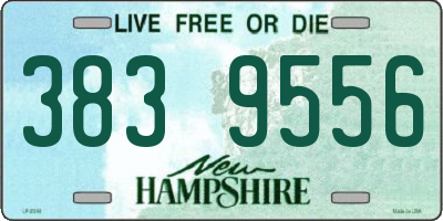 NH license plate 3839556