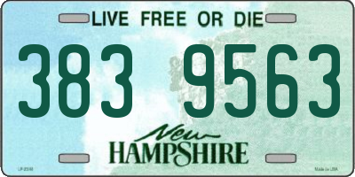 NH license plate 3839563