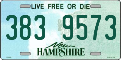 NH license plate 3839573