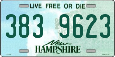 NH license plate 3839623