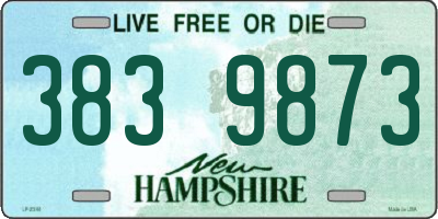 NH license plate 3839873