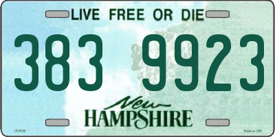 NH license plate 3839923